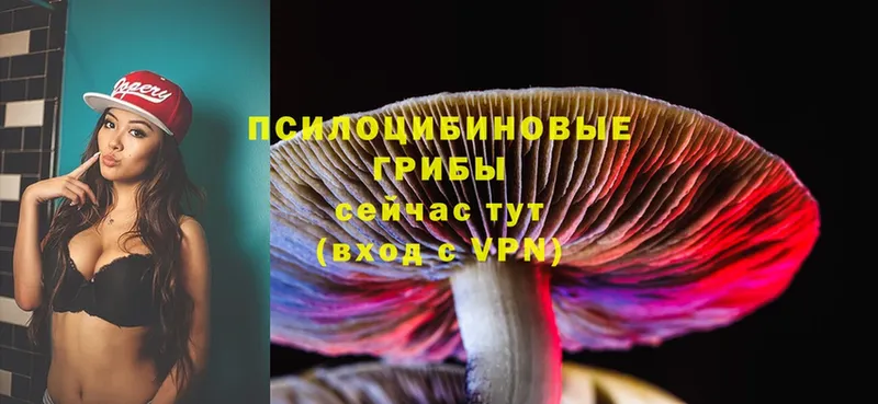 Галлюциногенные грибы Magic Shrooms Курск